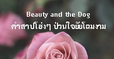 Beauty and the Dog คำสาปโฮ่งๆ ป่วนใจยัยโฉมงาม