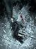 BLOOD ROON 24 �ѡ���෾�����ʹ