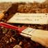 Q the Archaeologist: ��ǻ�ǹ������ù������