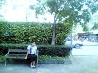 �Ѿഷ 29 ���Ҥ� 2551