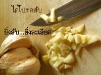 �Ѿഷ 31 �á�Ҥ� 2551