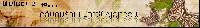 �Ѿഷ 11 ���Ҥ� 2551