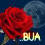 �Ѿഷ 21 �ѹ��¹ 2551
