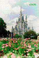 �Ѿഷ 28 �ѹ��¹ 2551