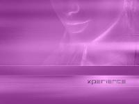 �Ѿഷ 12 ���Ҥ� 2551