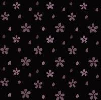 �Ѿഷ 17 ���Ҥ� 2551