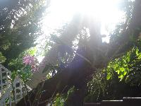�Ѿഷ 27 �á�Ҥ� 2551