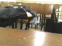 �Ѿഷ 16 �ԧ�Ҥ� 2551