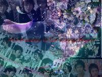 �Ѿഷ 25 �á�Ҥ� 2551