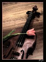 �Ѿഷ 25 �á�Ҥ� 2551