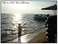 �Ѿഷ 8 ���Ҥ� 2551