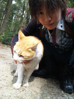 แมวเมี้ยวกับโดริเมี้ยว