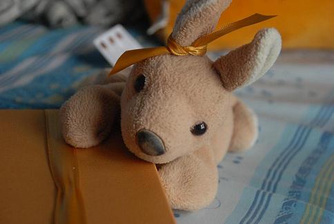 คลิกเพื่อดูภาพใหญ่