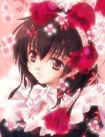 Cute Pic Room