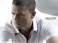Wentworth Miller