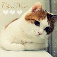 ++��ǹ���++