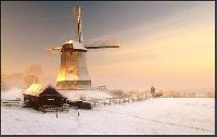 BeauTifuL PicTureS