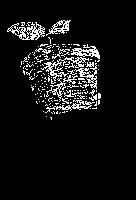 �Ҵ����paint���~