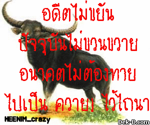 อดีตไม่ขยันปัจจุบันไม่ขวนขวายอนาคตไม่ต้องทายไปเป็น ควาย! ไว้ไถนา