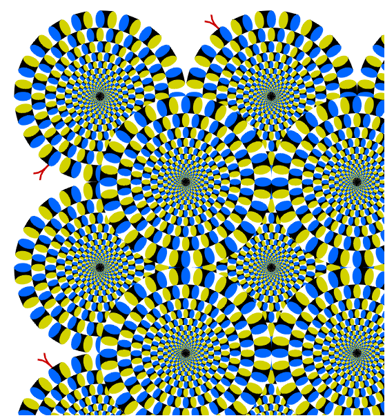 My Image 86