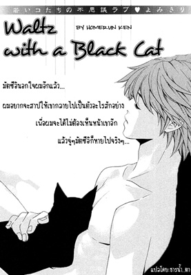 Waltz with a Black Cat 