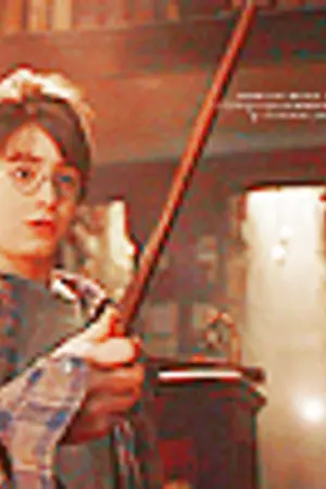 .:The Wizarding World of Harry Potter:.