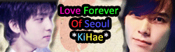 love Forever Of Seoul *KiHae*