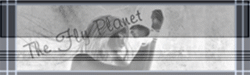 the fly planet