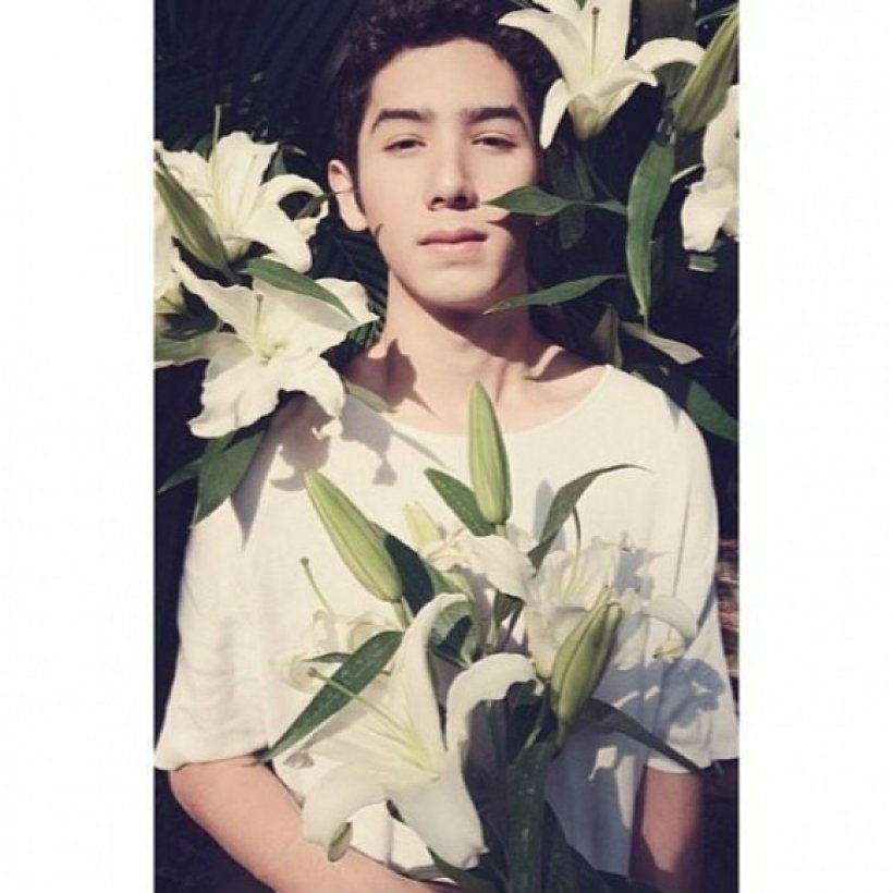 รูปที่ (11)