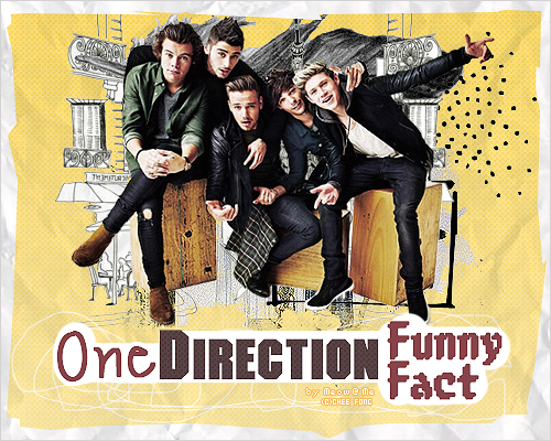 One Direction Funny Fact 