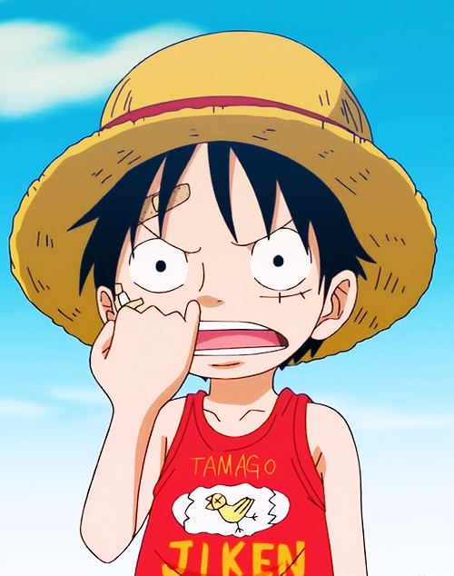 ประวัติส่วนตัว Monkey D.Luffy โดย finfer jedjed ( ควิซทดสอบ ) | Dek-D.com