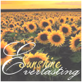 Everlasting Sunshine