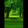 ไปดูกระทู้ เขียวขจี สีสันแห่งธรรมชาติ และวิวสวยๆจาก 'นิวซีแลนด์' เขียวขจี สีสันแห่งธรรมชาติ และวิวสวยๆจาก 'นิวซีแลนด์'