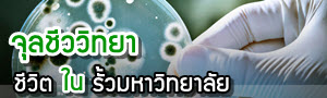 เด็กดีดอทคอม :: จุลชีววิทยา : สาขานี้เรียนอะไร เด็กดีดอทคอม :: จุลชีววิทยา : สาขานี้เรียนอะไร