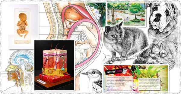 เด็กดีดอทคอม :: เทคโนโลยีการศึกษาแพทยศาสตร์ : สาขานี้เรียนอะไร?? เด็กดีดอทคอม :: เทคโนโลยีการศึกษาแพทยศาสตร์ : สาขานี้เรียนอะไร??