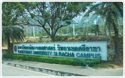 เด็กดีดอทคอม :: เจาะลึก!! รับตรง 56 วิศวกรรมฯ ม.เกษตรศาสตร์ (ศรีราชา) เด็กดีดอทคอม :: เจาะลึก!! รับตรง 56 วิศวกรรมฯ ม.เกษตรศาสตร์ (ศรีราชา)