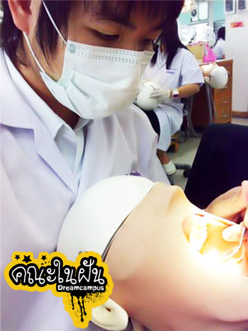 เด็กดีดอทคอม :: เปิดใจชีวิตการเรียนของ "เด็กทันตแพทยศาสตร์" เด็กดีดอทคอม :: เปิดใจชีวิตการเรียนของ "เด็กทันตแพทยศาสตร์"