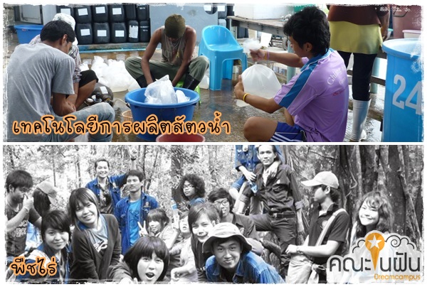 เด็กดีดอทคอม :: เทคโนฯ ผลิตสัตว์น้ำ VS พืชไร่ .. 2 สาขานี้เค้าเรียนอะไร ? เด็กดีดอทคอม :: เทคโนฯ ผลิตสัตว์น้ำ VS พืชไร่ .. 2 สาขานี้เค้าเรียนอะไร ?
