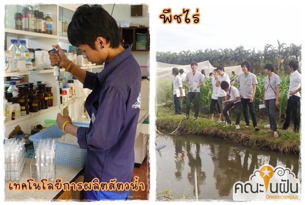 เด็กดีดอทคอม :: เทคโนฯ ผลิตสัตว์น้ำ VS พืชไร่ .. 2 สาขานี้เค้าเรียนอะไร ? เด็กดีดอทคอม :: เทคโนฯ ผลิตสัตว์น้ำ VS พืชไร่ .. 2 สาขานี้เค้าเรียนอะไร ?