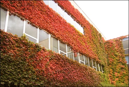 นี่คือ 8 มหาวิทยาลัยที่ดังที่สุดในอเมริกากับ Ivy League นี่คือ 8 มหาวิทยาลัยที่ดังที่สุดในอเมริกากับ Ivy League