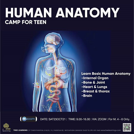 HUMAN ANATOMY CAMP FOR TEEN