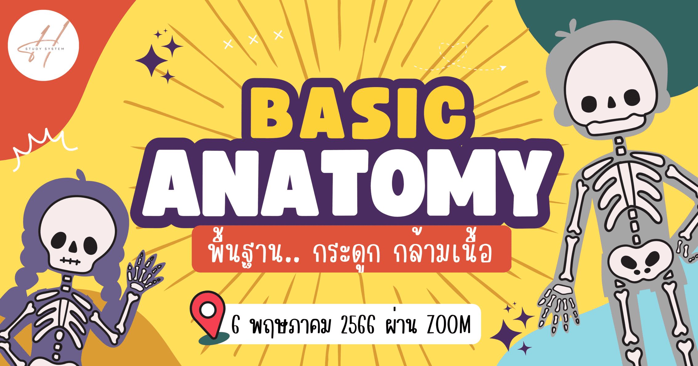 Basic Anatomy พื้นฐานกระดูกและกล้ามเนื้อ
