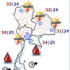 กรมอุตุฯ เตือน 21-22 ก.ย.วันสอบตรง มศว "ฝนตกหนัก 80%"