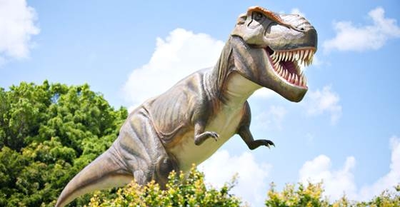 ไดโนเสาร์สุดโหด! ในยุคไดโนเสาร์ครองโลก (ประกาศรางวัลแล้ว!)