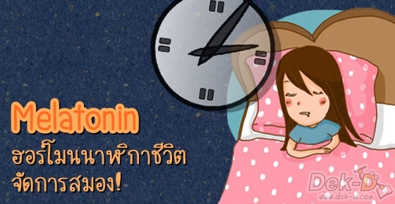 เมลาโทนิน ฮอร์โมนนาฬิกาชีวิต "ปรับเป็น เก่งได้ สุขภาพดี"
