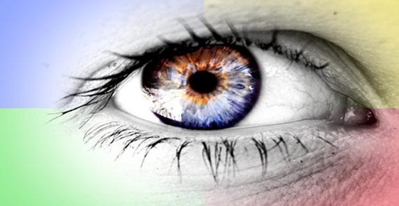 จริงหรือไม่?? คนตาบอดสี มองเห็นสีไม่เหมือนเรา