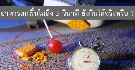 เคลียร์ข้อสงสัย! อาหารหล่นพื้นไม่ถึง 5 วินาที กินไม่ได้จริงหรือ ??