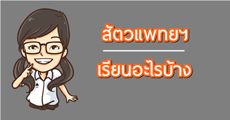 เติมฝันให้เด็กแอดฯ... หากติดสัตวแพทย์แล้ว 6 ปีต้องเรียนอะไรบ้าง?