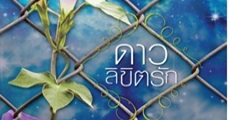 วิจารณ์หนังสือ : ดาวลิขิตรัก 