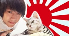 มาดู 8 อันดับพันธุ์แมวยอดฮิตในญี่ปุ่น (มีแมวไทยด้วย!!!)